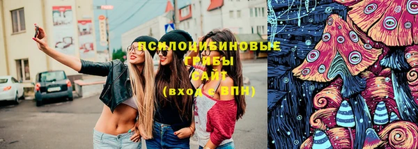spice Зерноград