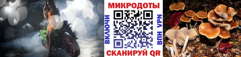 Псилоцибиновые грибы Psilocybe  Купить  Бирск 